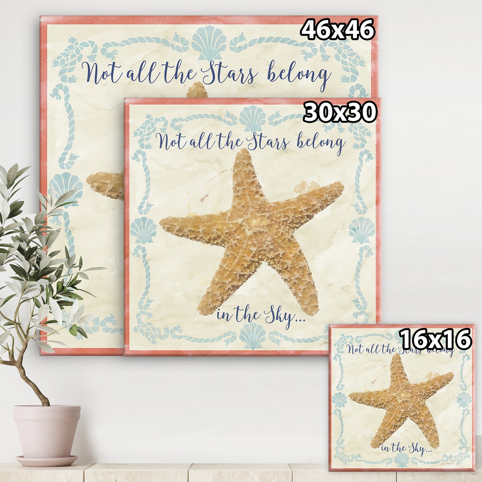 Sea Shells-C - Nautical & Coastal Canvas Artwork