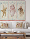 Sea Shells-E - Cottage Premium Canvas Wall Art