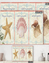 Sea Shells-E - Cottage Premium Canvas Wall Art