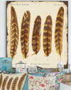 Five Pheasant Feathers - Cottage Canvas Art Print