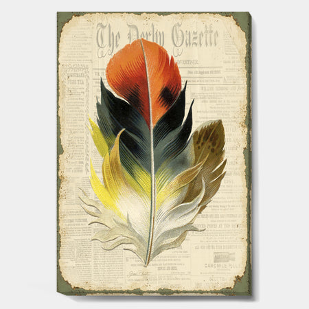 Colorful Elegant Feather On Old Style Newspaper III - Cottage Premium Canvas Wall Art
