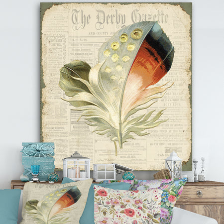 Colorful Elegant Feather On Old Style Newspaper IV - Cottage Canvas Wall Art