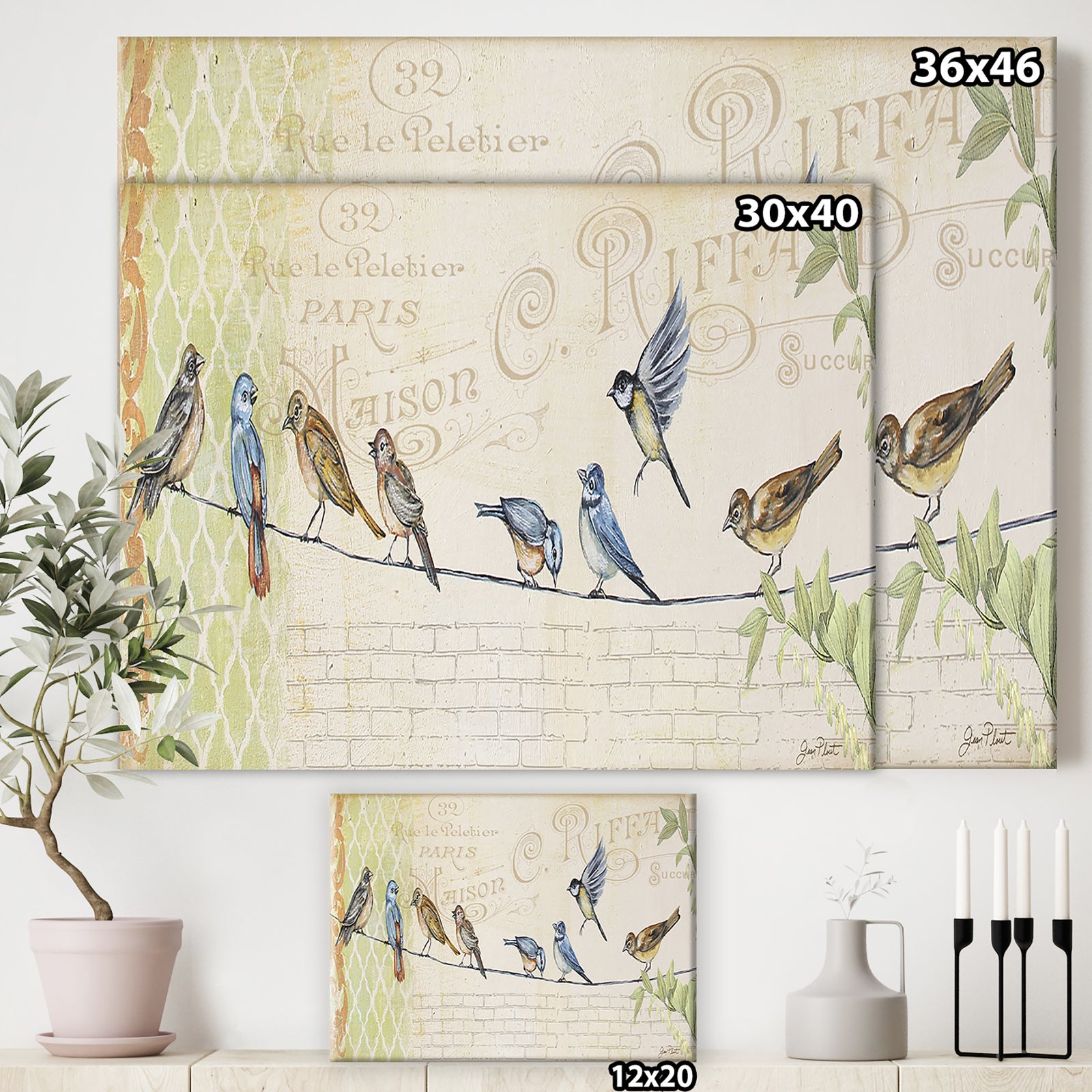 Birds Gathered On Wire Paris III - Cottage Canvas Art Print