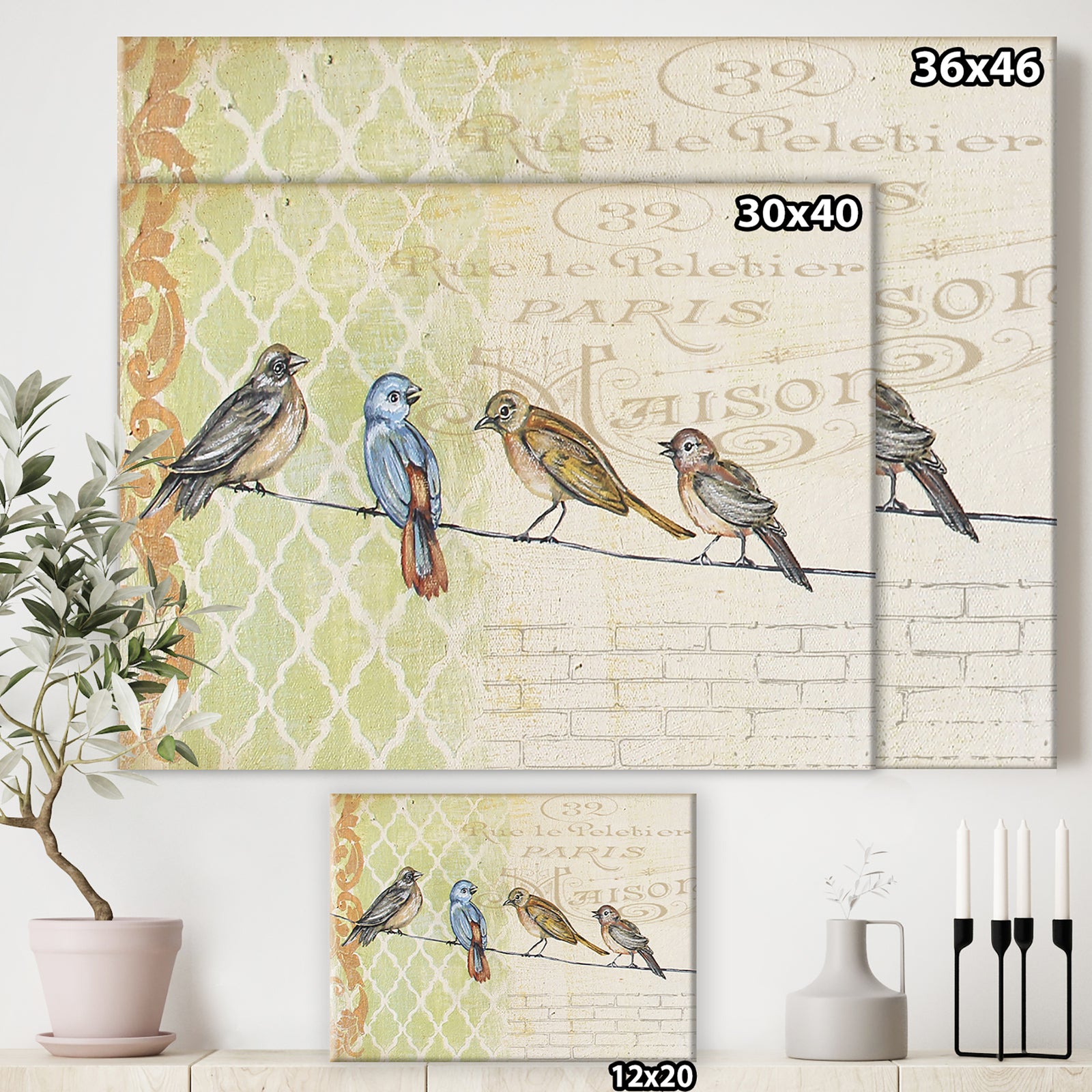 Birds Gathered On Wire Paris II - Cottage Gallery-wrapped Canvas
