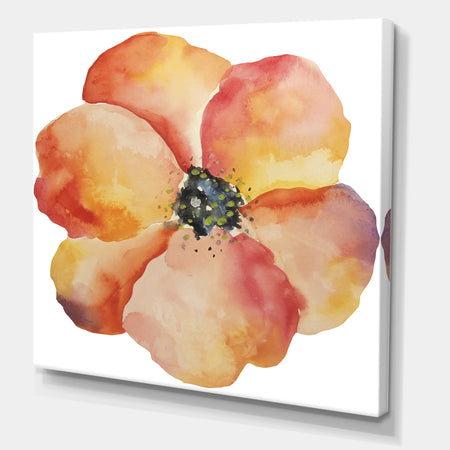Washy Poppy - Cottage Gallery-wrapped Canvas