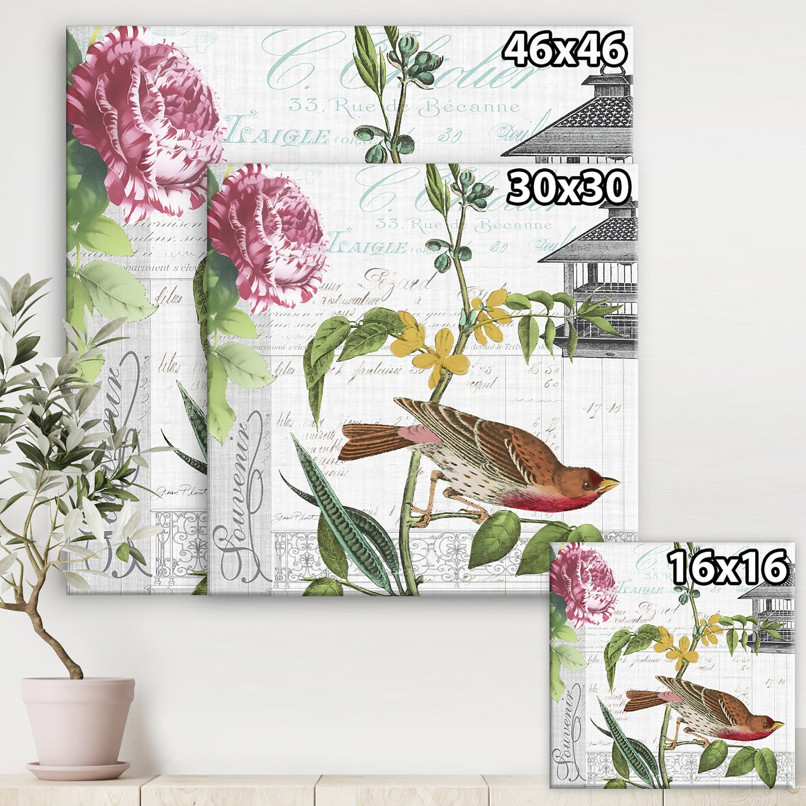 Birdwatchers Dream 2 - Cottage Canvas Art Print