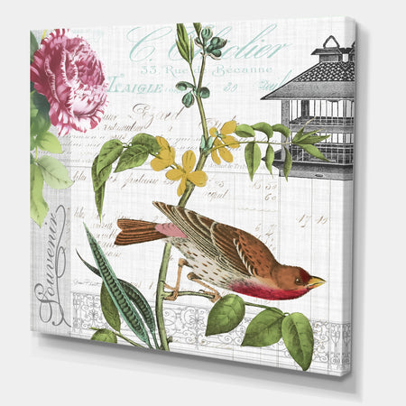 Birdwatchers Dream 2 - Cottage Canvas Art Print