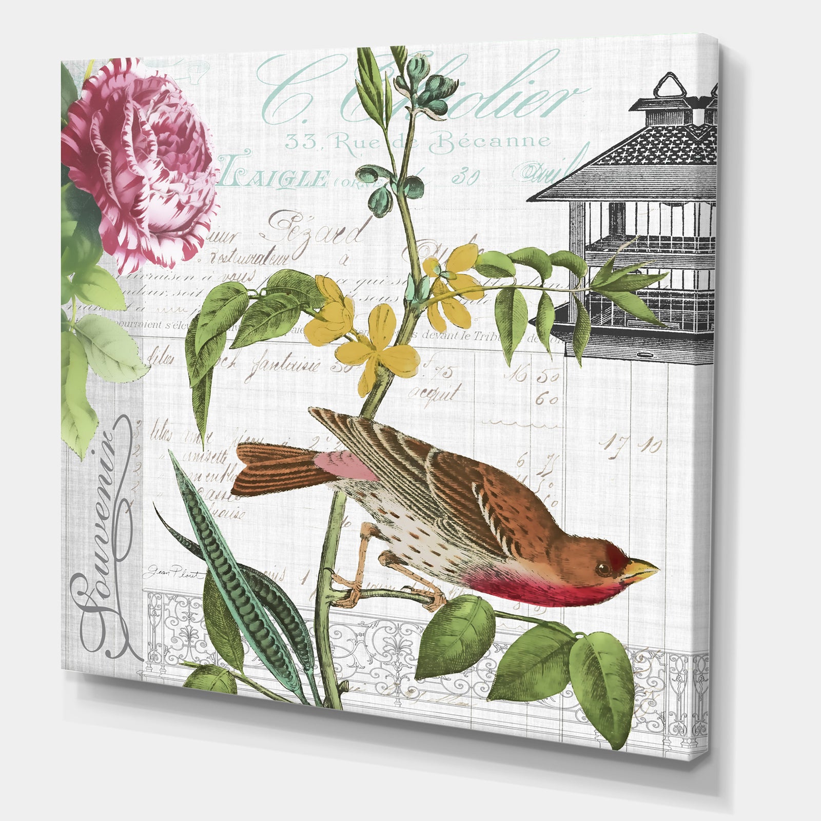 Birdwatchers Dream 2 - Cottage Canvas Art Print
