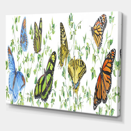 Summertime Butterflies E - Cottage Canvas Art Print