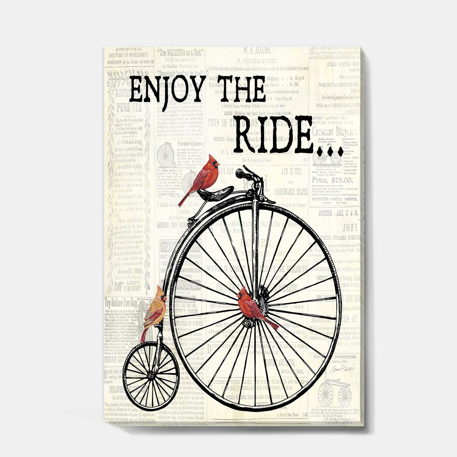 Bicycle With Cardinals A - Cottage Gallery-wrapped Canvas