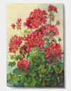 Blossoming Red Geraniums - Traditional Canvas Artwork