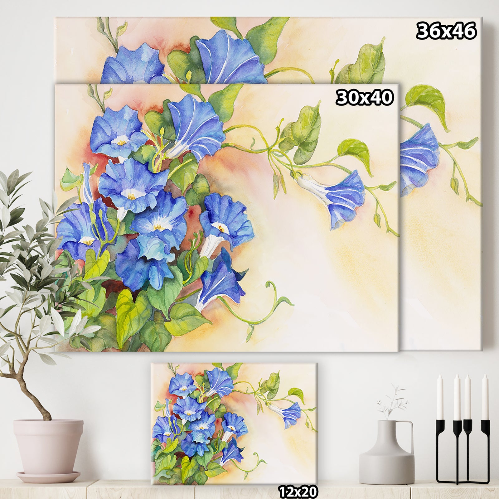 Morning Gloria Vine Stretching - Traditional Gallery-wrapped Canvas