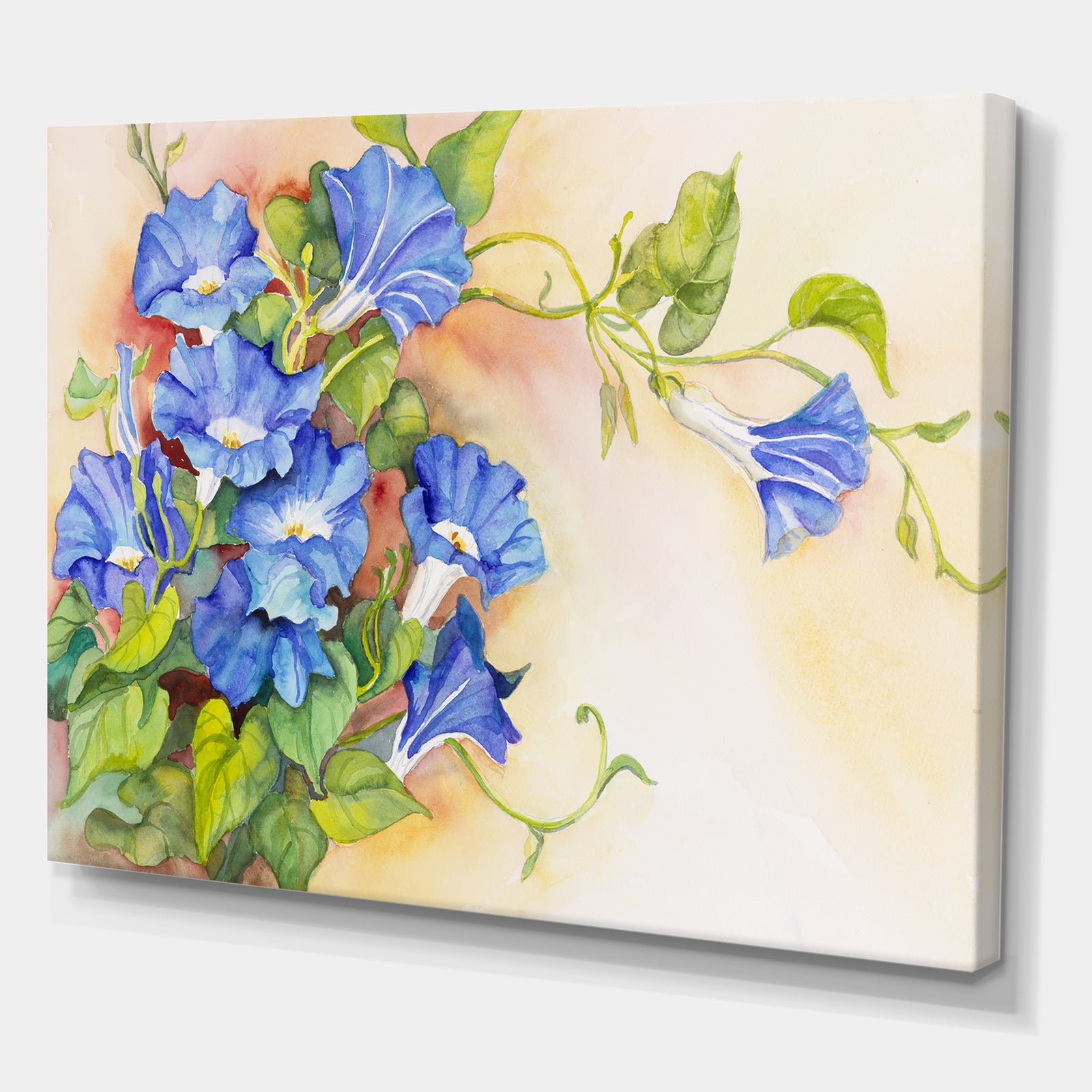 Morning Gloria Vine Stretching - Traditional Gallery-wrapped Canvas