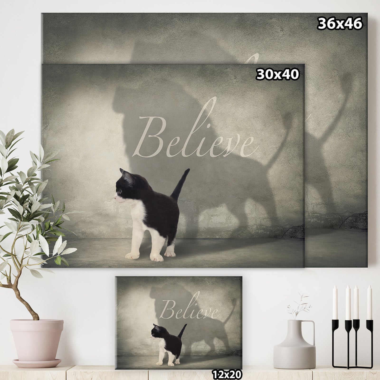Believe Shadow I - Cottage Canvas Wall Art