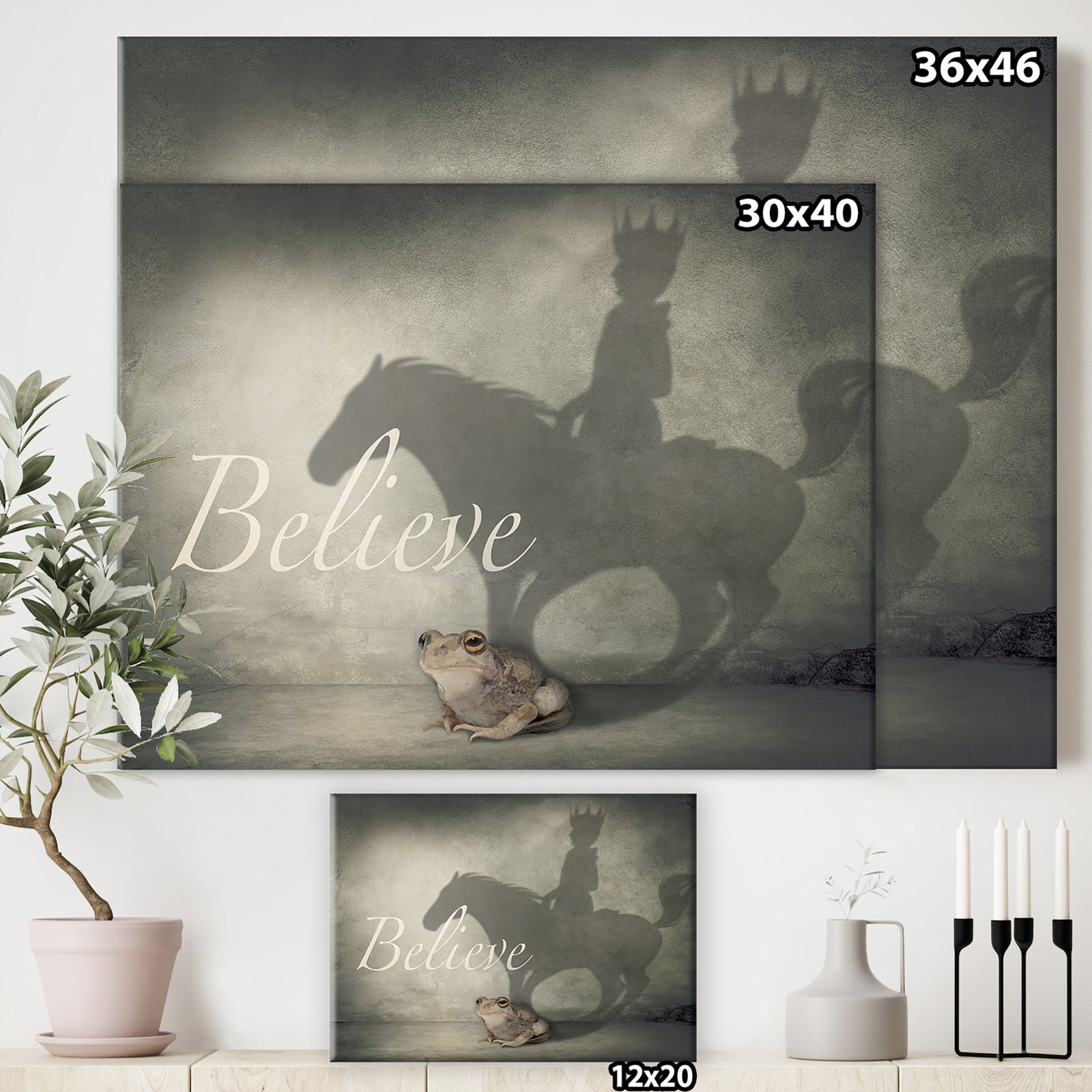 Believe Shadow II - Cottage Canvas Art Print