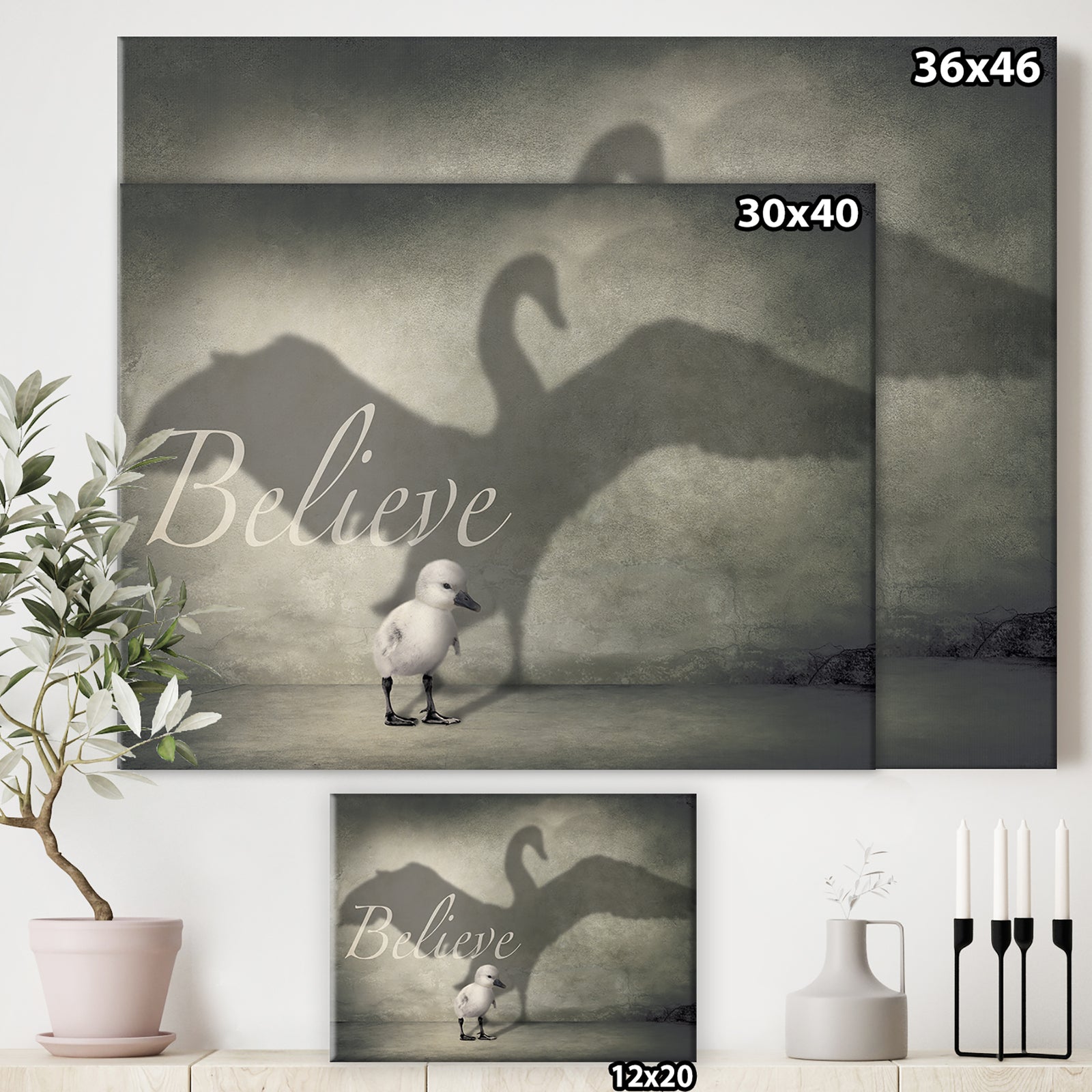 Believe Shadow IV - Cottage Canvas Artwork