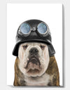 Dog With Biker Helmet - Modern & Contemporary Premium Canvas Wall Art