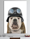 Dog With Biker Helmet - Modern & Contemporary Premium Canvas Wall Art