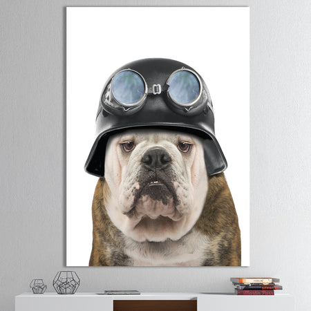 Dog With Biker Helmet - Modern & Contemporary Premium Canvas Wall Art