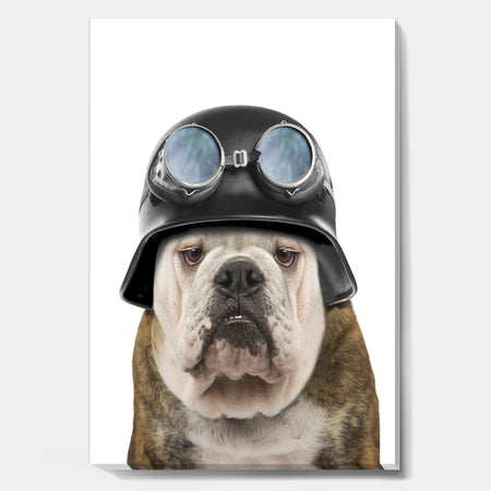 Dog With Biker Helmet - Modern & Contemporary Premium Canvas Wall Art