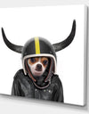 Little Dog With Attitude - Modern & Contemporary Canvas Wall Art
