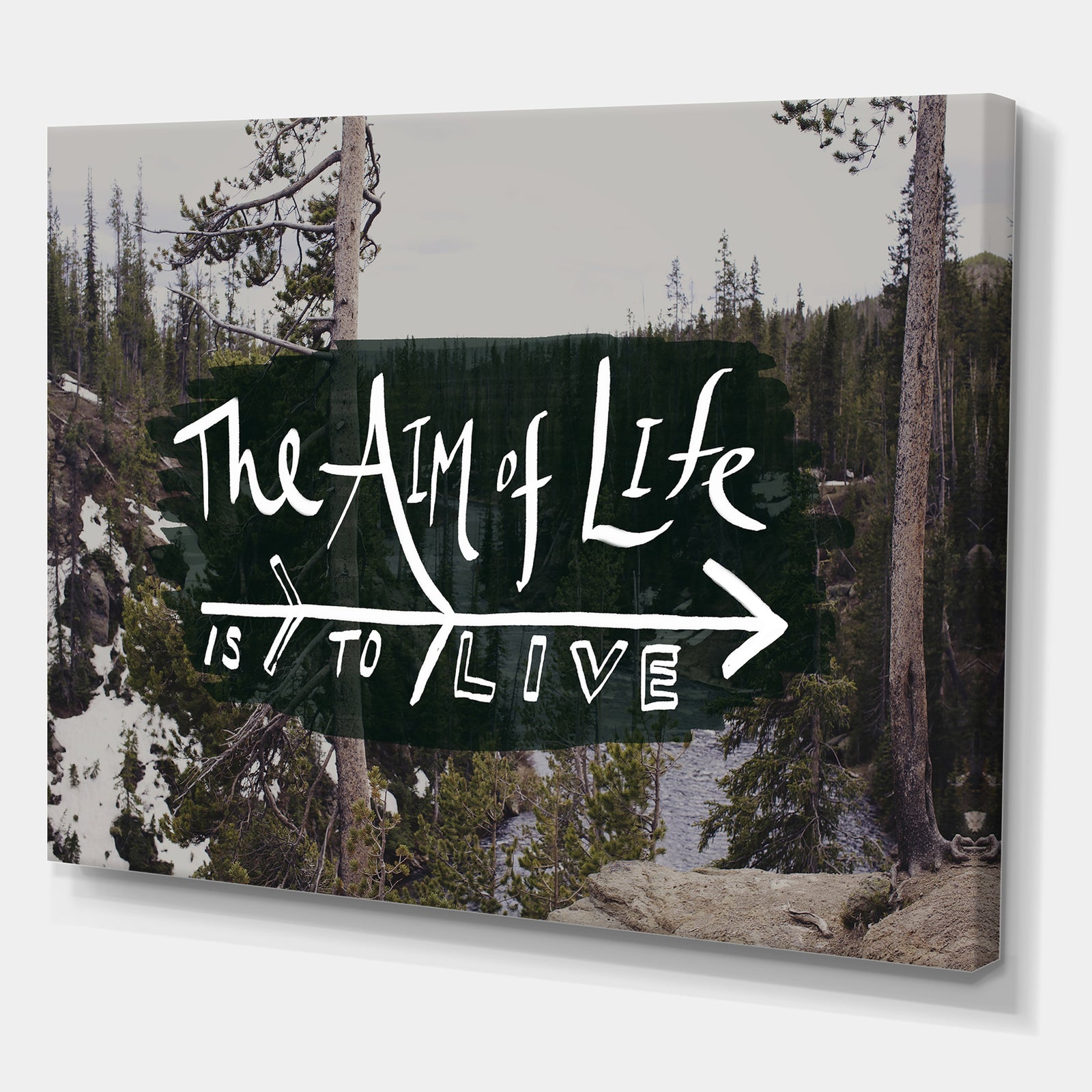 The Aim of Life - Cottage Premium Canvas Wall Art
