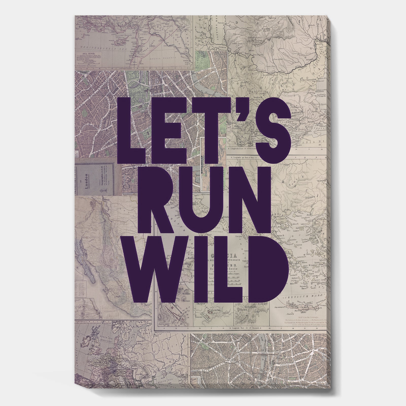 Lets Run Wild - Cottage Premium Canvas Wall Art