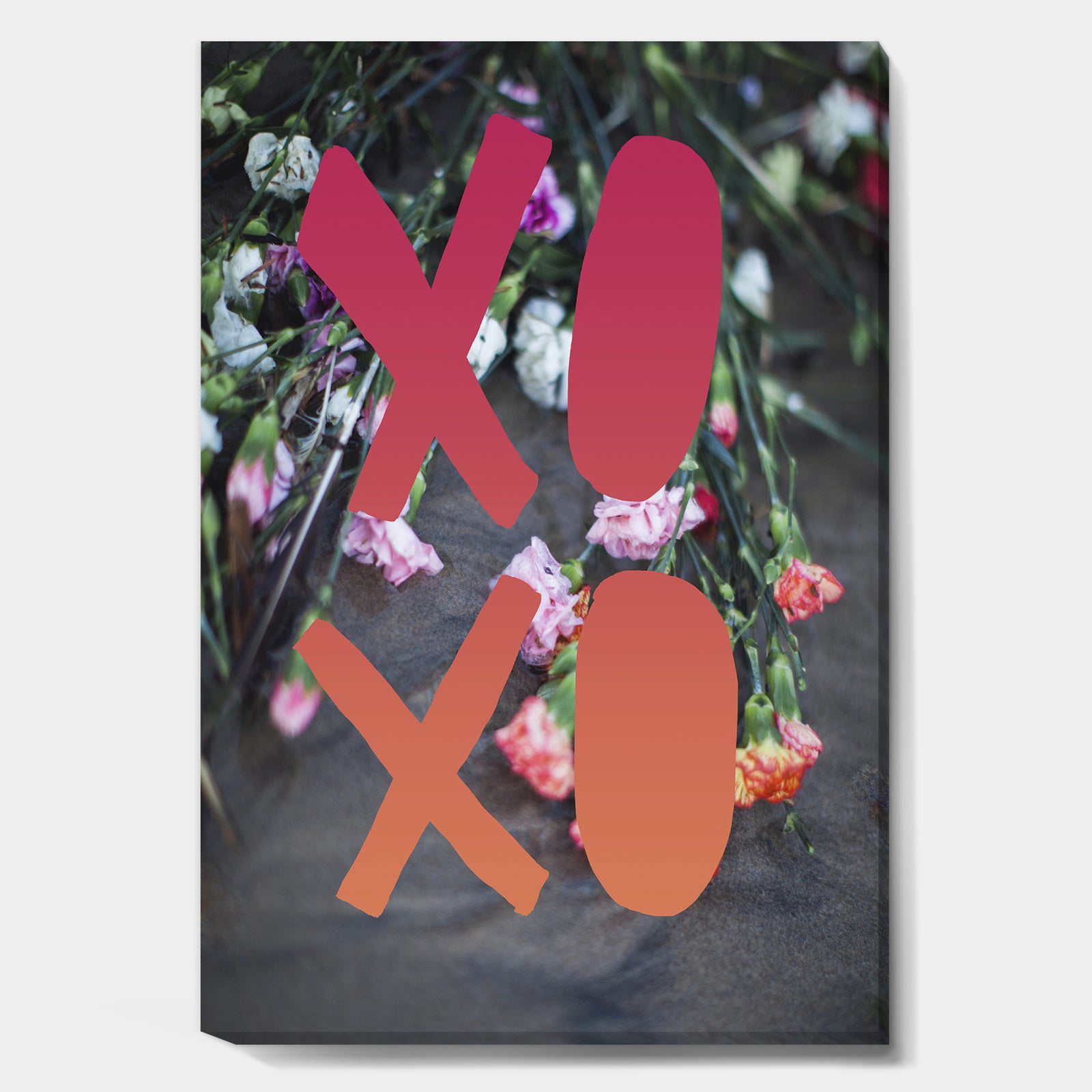 xoxo - Cottage Premium Canvas Wall Art