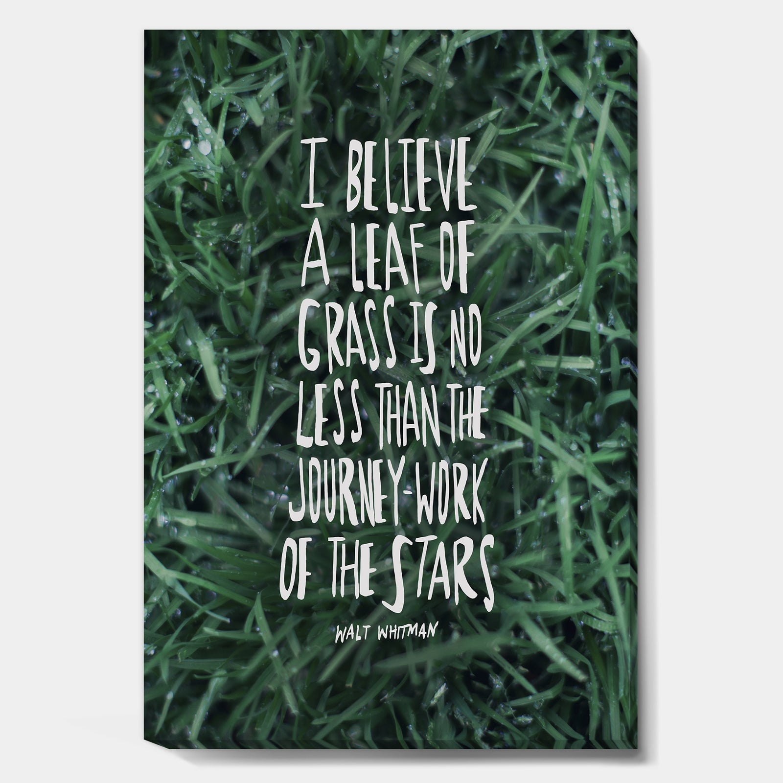 Leaf Of Grass - Cottage Gallery-wrapped Canvas