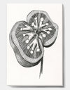 Handdrawn Kidney Cross Section - Cottage Premium Canvas Wall Art