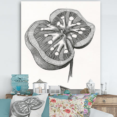 Handdrawn Kidney Cross Section - Cottage Premium Canvas Wall Art