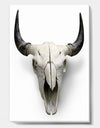 White Cow Skull With Black Horns - Farmhouse Canvas Wall Art