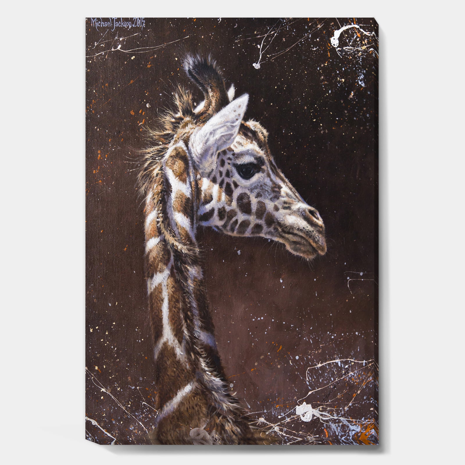 Michael Jackson 14 - Cottage Canvas Artwork