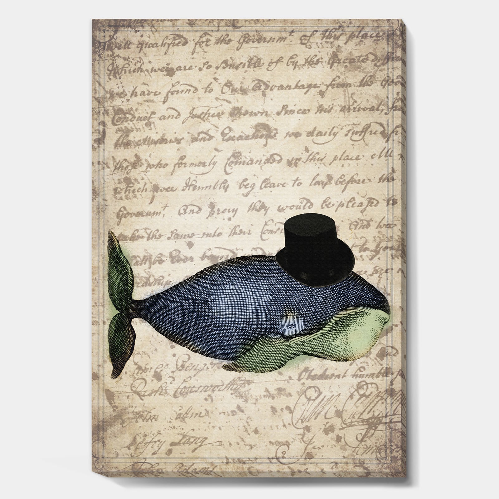 Old Style Whale With Hat - Nautical & Coastal Canvas Artwork