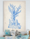 Blue Coral 1 - Nautical & Coastal Premium Canvas Wall Art