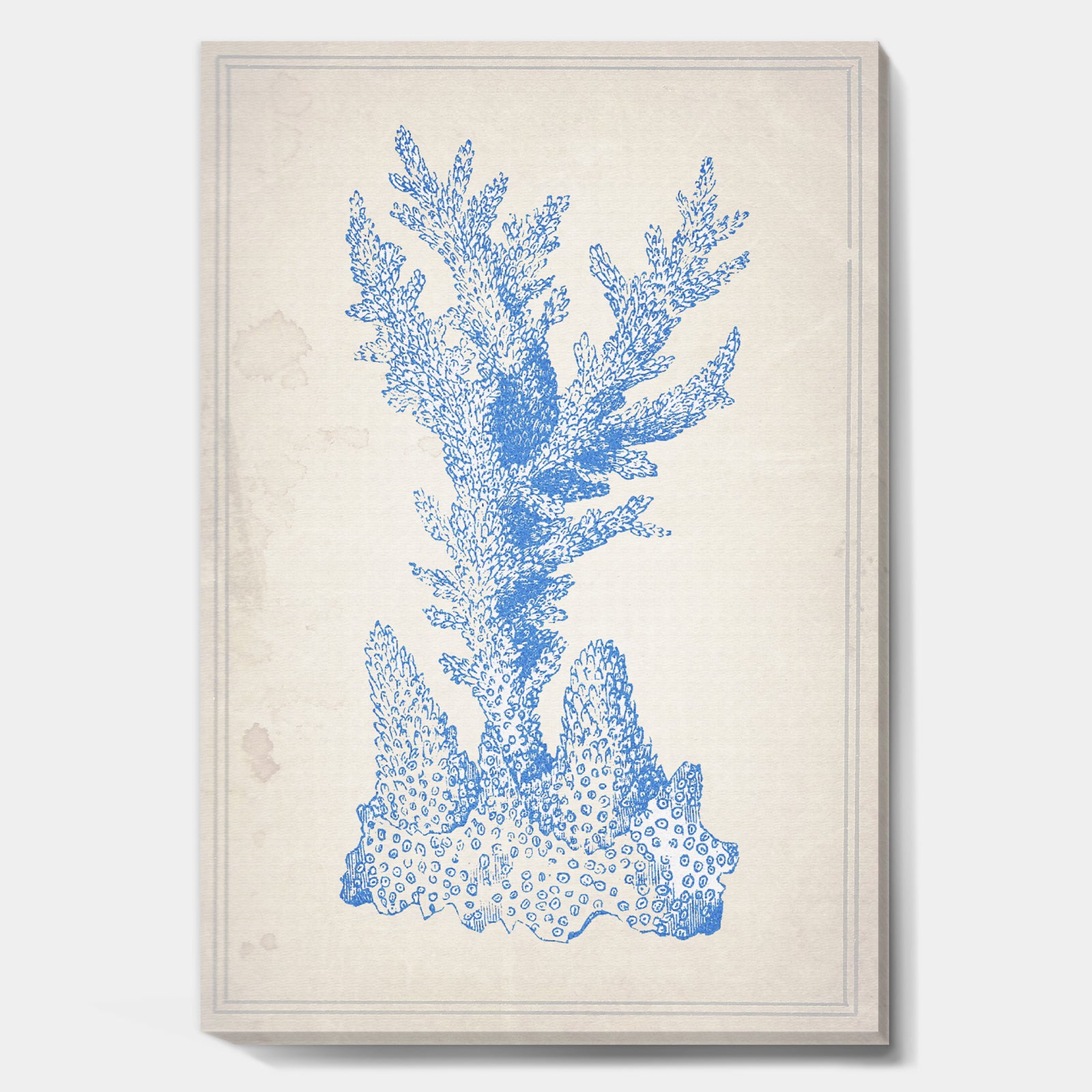 Blue Coral 1 - Nautical & Coastal Premium Canvas Wall Art