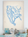 Blue Coral 2 - Nautical & Coastal Canvas Wall Art