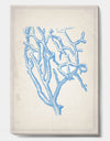 Blue Coral 2 - Nautical & Coastal Canvas Wall Art