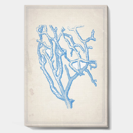 Blue Coral 2 - Nautical & Coastal Canvas Wall Art