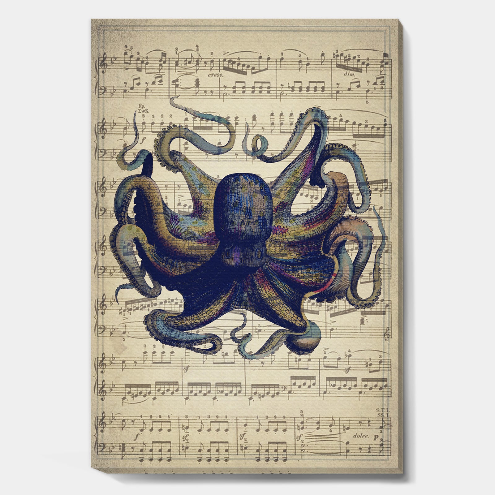 Octopus Music Score I - Nautical & Coastal Canvas Artwork
