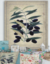 Black Olives On Branch - Cottage Canvas Wall Art