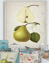 Pear Old Style Sketch I - Cottage Canvas Artwork