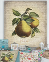 Pear Old Style Sketch II - Cottage Premium Canvas Wall Art