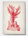 Red Coral 1 - Nautical & Coastal Canvas Wall Art