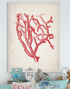 Red Coral 2 - Nautical & Coastal Canvas Art Print