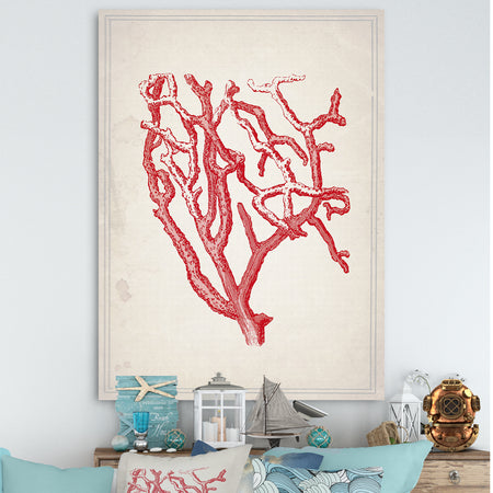 Red Coral 2 - Nautical & Coastal Canvas Art Print