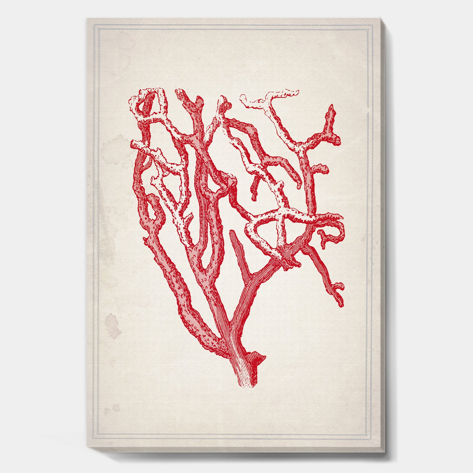 Red Coral 2 - Nautical & Coastal Canvas Art Print