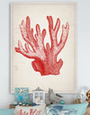 Red Coral 3 - Nautical & Coastal Gallery-wrapped Canvas