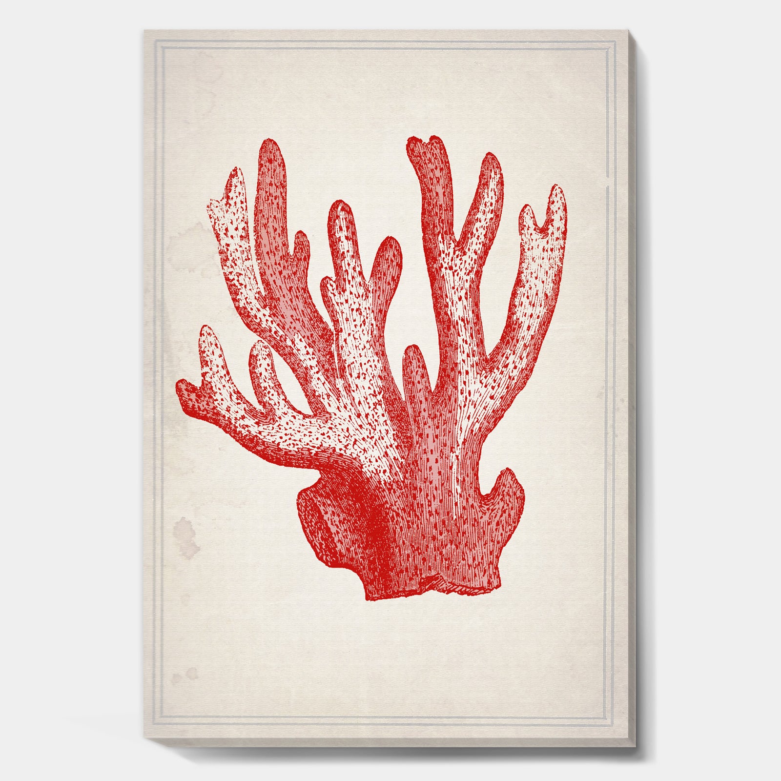 Red Coral 3 - Nautical & Coastal Gallery-wrapped Canvas