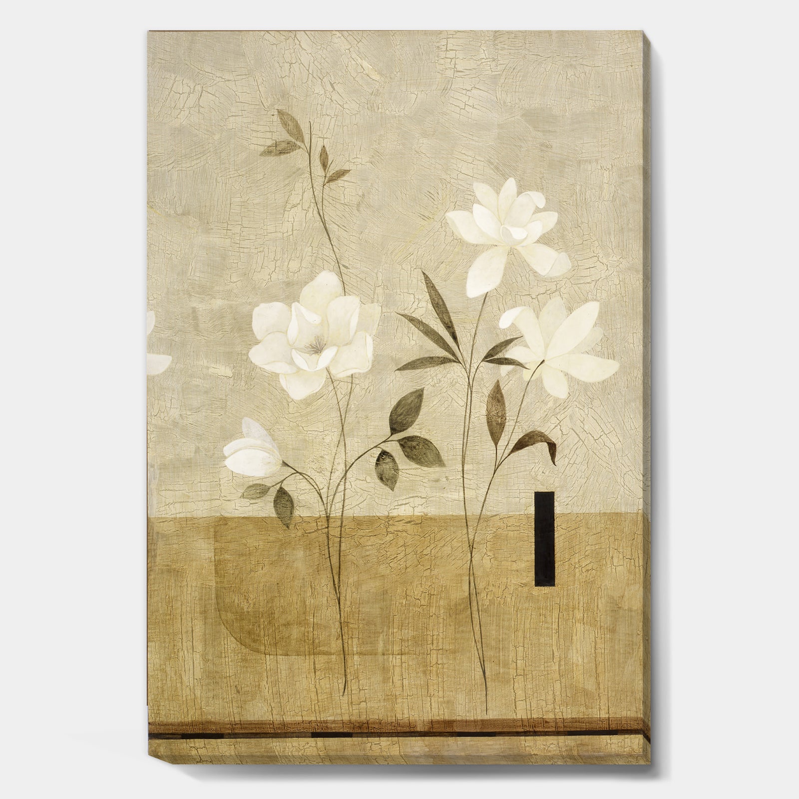 Painted White Flowers With Black Rectangle - Cottage Canvas Art Print